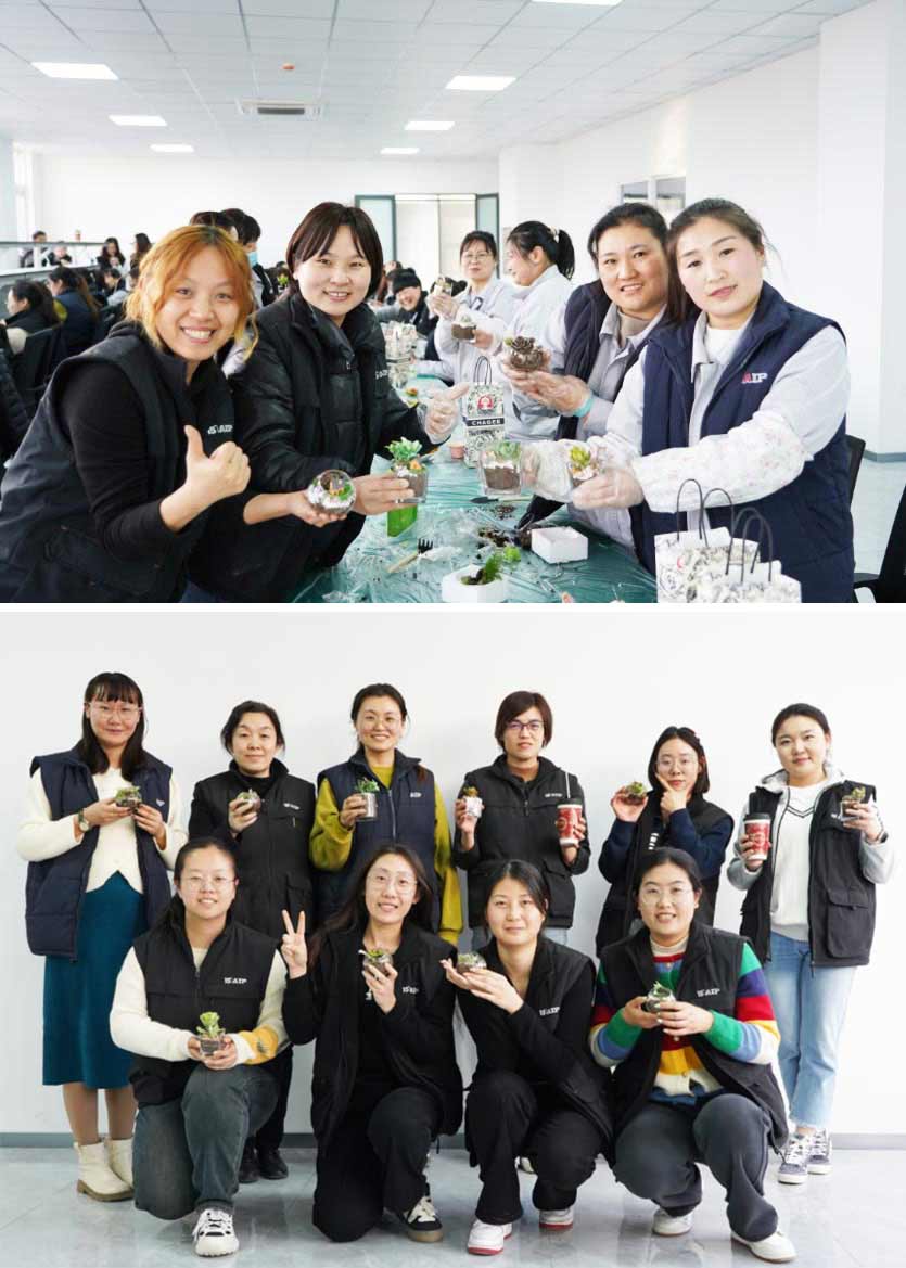 3.8 婦女節(jié)丨微景觀DIY，一起邂逅微世界里的春日—AIP艾普